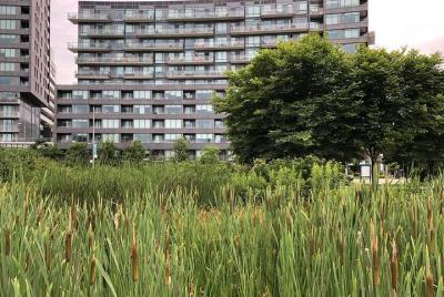 Corktown and Distillery District Tour