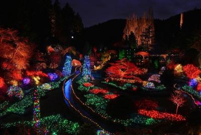 Victoria and Butchart Gardens Christmas Lights Tour from Vancouve