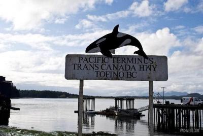 Vancouver 4Days island AdventureTour Vancouver Victoria,Ucluelet,