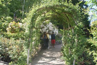 3-Day Vancouver City Tour Package With Whistler and Victoria Opti