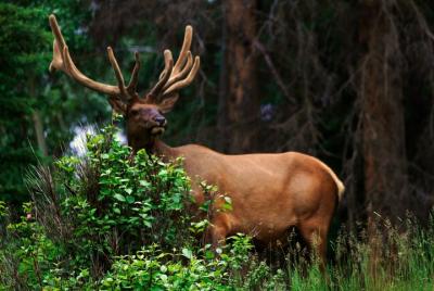 Rockies Western Canada Tour Rockies Western Canada Tour