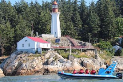 Vancouver City and Seals Scenic Boat Tour
