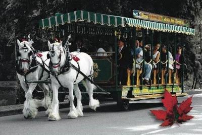 Best Selling Vancouver Sightseeing Tour/Best 5 Hours in vancouver Best Selling Vancouver Sightseeing Tour/Best 5 Hours in vancouver