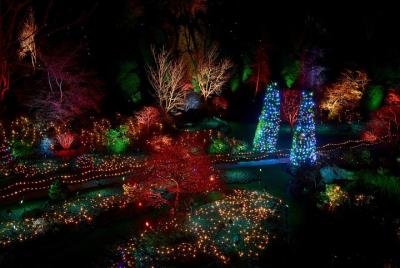 The Magic of Christmas at Butchart Gardens Shuttle and Entry The Magic of Christmas at Butchart Gardens Shuttle and Entry
