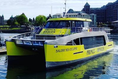 Half-Day Whale Watching Adventure from Victoria Half-Day Whale Watching Adventure from Victoria