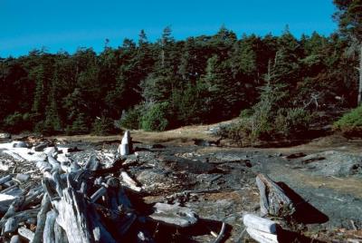 Water taxi to Discovery Island Marine Provincial Park