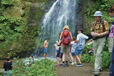 Private Hiking Tour to Mtirala National Park from Batumi Private Hiking Tour to Mtirala National Park from Batumi