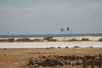 Boa Vista Private Tour from Curral Velho to Ervatao Boa Vista Private Tour from Curral Velho to Ervatao
