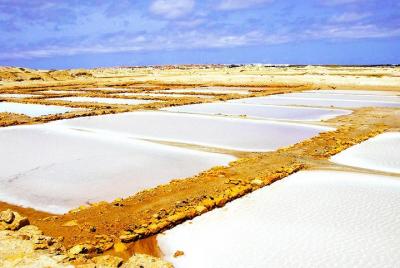 Sal Island: Half-Day Island Tour Sal Island: Half-Day Island Tour