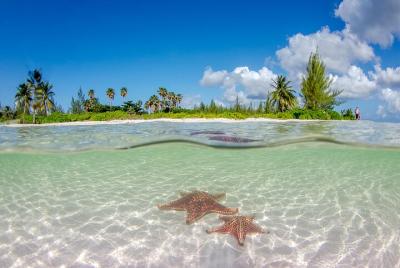 Half Day Bioluminescent Boat and Starfish Beach Tour in Grand Cayman