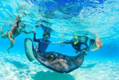 Private Stingray City and Snorkeling Half Day Charter for 12 Guests Private Stingray City and Snorkeling Half Day Charter for 12 Guests