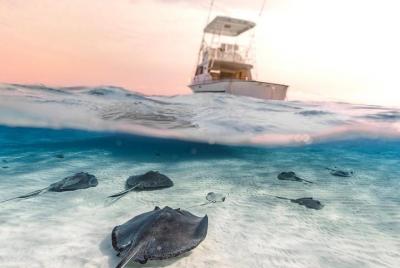 Private Boat Charter, Stingray City, Starfish Point, Coral Gardens & Much More