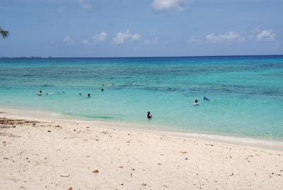 Pedalz Round Trip Airport Transportation 