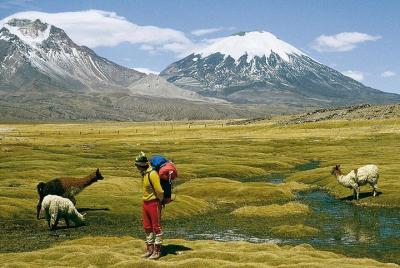 4-Days Unique Experience at the Chilean High Plateau 4-Days Unique Experience at the Chilean High Plateau