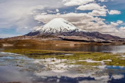 Lauca National Park 2D / 1N "Arica - Putre - Lake Chungará - Arica" Lauca National Park 2D / 1N