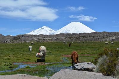 arica and parinacota in 2 days 1 night arica and parinacota in 2 days 1 night