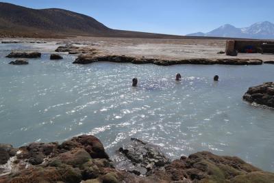 Arica-Lake Chungara-Salar de Surire (3diasy2nights) Arica-Lake Chungara-Salar de Surire (3diasy2nights)
