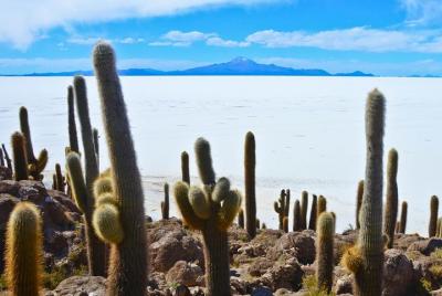 Uyuni Private Tour (Roundtrip) - 4 Days