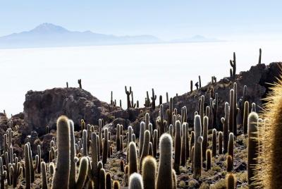 Mountaineering and the salar de Uyuni - 5 Days
