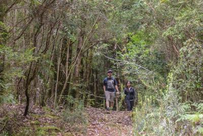 Bosque Piedra Reserve Tour