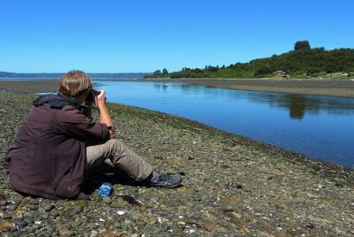 Tocoihue Waterfall in Chiloe