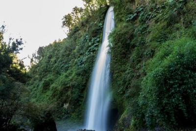 Chaiguen Adventure Park in Chiloe