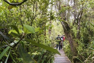Full Day Chiloé National Park Following 