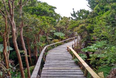 Chiloe National Park and Bosque Piedra in Chiloe