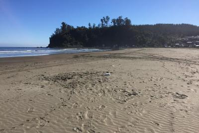 Tour around Gulf of Arauco & Lebu