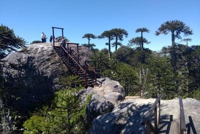 Tour around Piedra del Águila & Lake Lanalhue