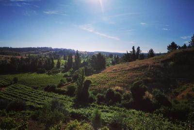 Tour around Itata Valley