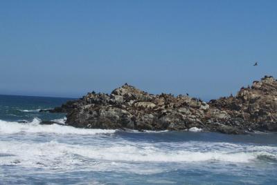 Tour around Cobquecura