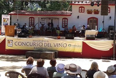 Ranquil Tour Of Vineyards And Costumbristas Parties