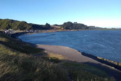Biobío River Estuary & Pedro del Río Zañartu Museum