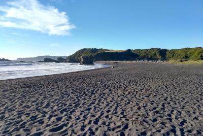 Biobío River Estuary and Rocoto Beach