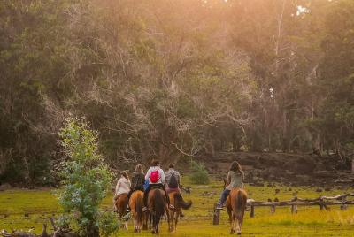 Ride to the highest point of the Island and leave your mark planting your own Tree Ride to the highest point of the Island and leave your mark planting your own Tree