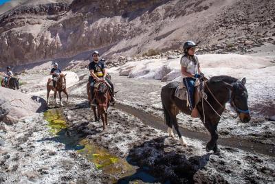 Private horseback riding tour in the highlands (Huasquiña) Private horseback riding tour in the highlands (Huasquiña)