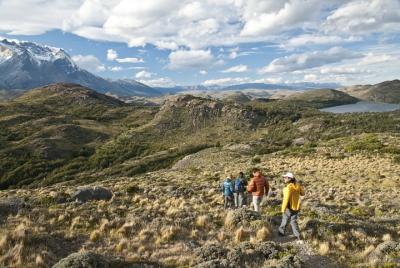 5-Days Exploration at Elqui Valley & Humboldt Penguins National Reserve  5-Days Exploration at Elqui Valley & Humboldt Penguins National Reserve