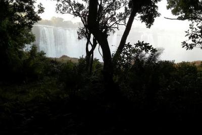 Guided Tour of the Falls  Guided Tour of the Falls