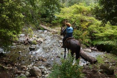 Horseback riding Pucon Horseback riding Pucon