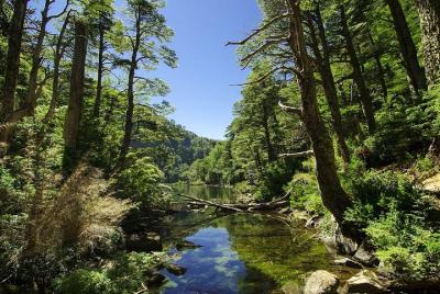 Full day Trekking Huerquehue National Park Full day Trekking Huerquehue National Park