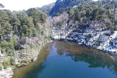 Trekking Huerquehue Trekking Huerquehue