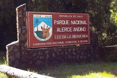 Alerce Andino National Park / Alerce Milenario Tour Alerce Andino National Park / Alerce Milenario Tour