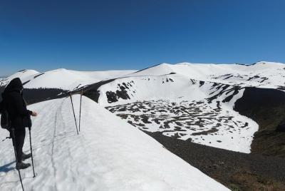 Private Hiking Route in Puyehue National Park Private Hiking Route in Puyehue National Park