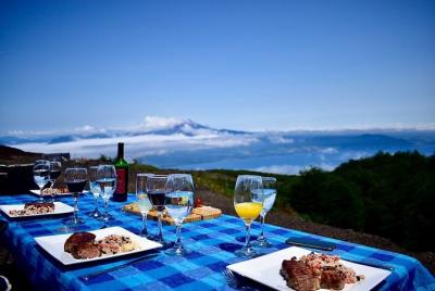 Premium Full Day Shared Tour Osorno Volcano and Petrohue Falls Premium Full Day Shared Tour Osorno Volcano and Petrohue Falls