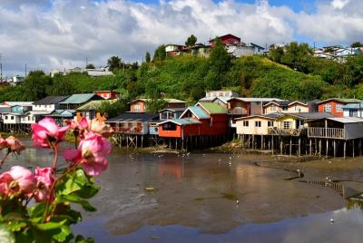 Premium Full Day Shared Tour to Chiloé: Chacao, Castro and Dalcahue Premium Full Day Shared Tour to Chiloé: Chacao, Castro and Dalcahue