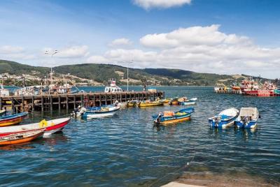 Premium Full Day Tour to Chiloe, Ancud and Pinguin Colony  Premium Full Day Tour to Chiloe, Ancud and Pinguin Colony