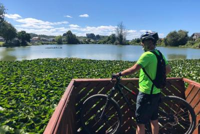Mountain Biking - Llanquihue (15 miles)