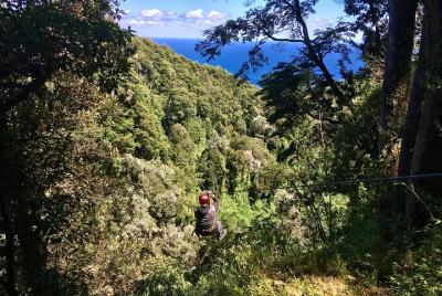 Half Day Tour Canopy Chile and Las Cascadas Waterfall