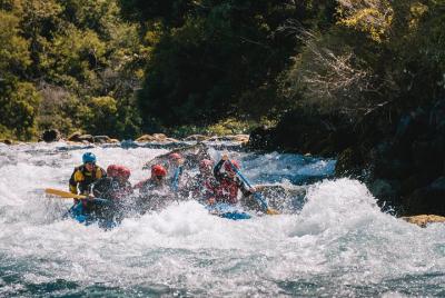 Rafting Río Petrohué - Puerto Varas